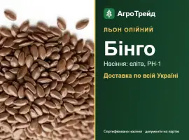 Олійний льон Бінго — насіння