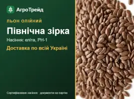 Олійний льон Північна зірка — насіння