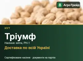 Нут Тріумф — насіння