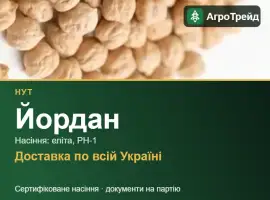 Йордан — нут, насіння
