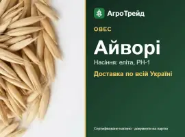 Зображення для оголошення Овес Айворі — насіння