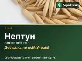 Зображення для оголошення Насіння: овес Нептун