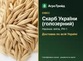 Зображення для оголошення Овес Скарб України (голозерний) — насіння