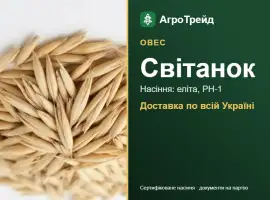 Зображення для оголошення Світанок — овес, насіння