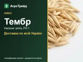 Зображення для оголошення Посівний овес Тембр
