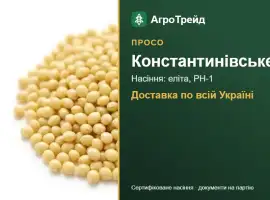 Зображення для оголошення Насіння проса Константинівське