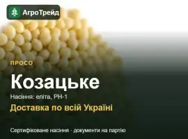 Зображення для оголошення Насіння проса Козацьке