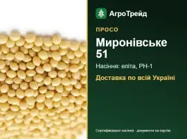 Зображення для оголошення Купити просо Миронівське 51 на посів