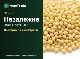 Зображення для оголошення Просо Незалежне — насіння