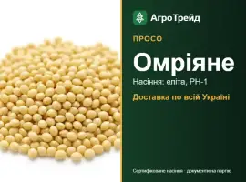 Зображення для оголошення Просо Омріяне — насіння
