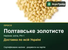 Зображення для оголошення Полтавське золотисте — просо, насіння