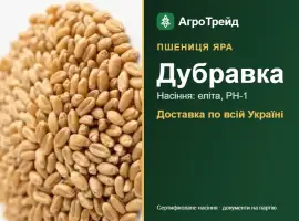 Зображення для оголошення Дубравка — яра пшениця, насіння