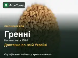 Зображення для оголошення Гренні — яра пшениця, насіння