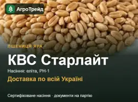 Зображення для оголошення КВС Старлайт — яра пшениця, насіння