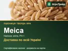Зображення для оголошення Пшениця тверда яра Меіса — насіння