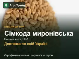 Зображення для оголошення Купити яру пшеницю Сімкода миронівська на посів