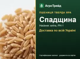 Зображення для оголошення Пшениця тверда яра Спадщина — насіння