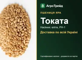 Зображення для оголошення Посівна яра пшениця Токата