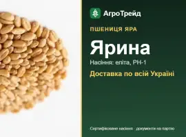 Зображення для оголошення Насіння пшениці Ярина