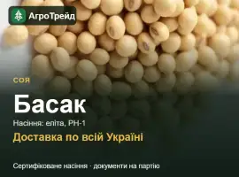 Зображення для оголошення Соя Басак — насіння