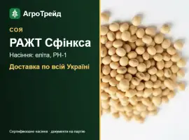 Зображення для оголошення Соя РАЖТ Сфінкса — насіння