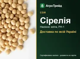 Зображення для оголошення Насіння сої Сірелія