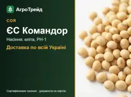 Зображення для оголошення Соя ЄС Командор — насіння