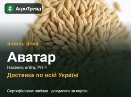 Зображення для оголошення Ячмінь ярий Аватар — насіння