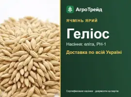 Зображення для оголошення Посівний ярий ячмінь Геліос