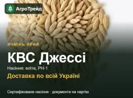Зображення для оголошення Насіння ярого ячменю КВС Джессі