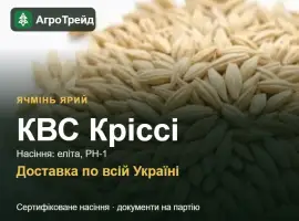 Зображення для оголошення Насіння: ячмінь ярий КВС Кріссі