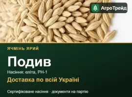 Зображення для оголошення Купити ярий ячмінь Подив на посів