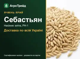 Зображення для оголошення Себастьян — ярий ячмінь, насіння, від 16 700 грн/т