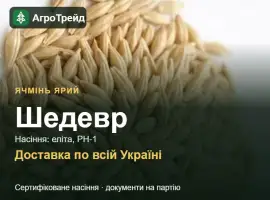 Зображення для оголошення Ячмінь ярий Шедевр — насіння