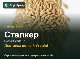 Зображення для оголошення Купити ярий ячмінь Сталкер на посів