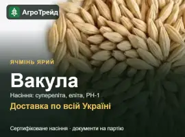 Зображення для оголошення Ячмінь ярий Вакула — насіння