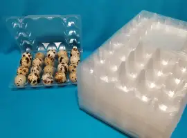 Лотки для перепелиних яєць квадратні. 100 штук