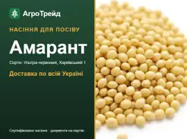 Продам насіння амаранту