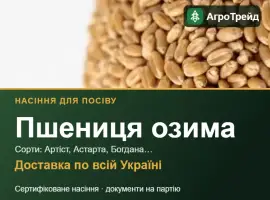 Зображення для оголошення Продам насіння озимої пшениці