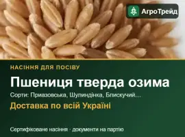 Зображення для оголошення Продам насіння твердої озимої пшениці