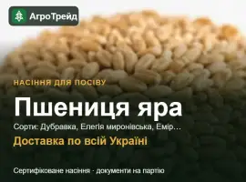 Зображення для оголошення Продам насіння ярої пшениці