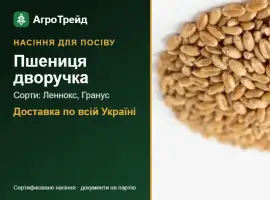 Зображення для оголошення Продам насіння пшениці дворучки