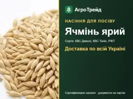 Зображення для оголошення Продам насіння ярого ячменю