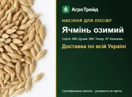 Зображення для оголошення Продам насіння озимого ячменю