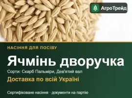 Зображення для оголошення Продам насіння ячменю дворучки