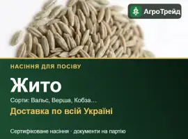 Зображення для оголошення Продам насіння жита