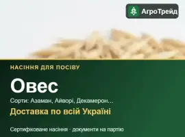 Зображення для оголошення Продам насіння вівса