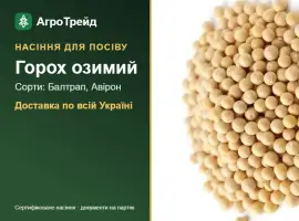 Зображення для оголошення Продам насіння озимого гороху