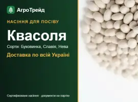 Зображення для оголошення Продам насіння квасолі
