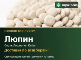 Продам насіння люпину